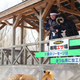 Image for article titled You Can Experience Fox Heaven in Japan